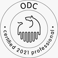 ODC gecertificeerd professional 2021